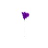 Purple Tickler Long