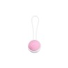 Removable Kegel Ball Pink