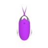 Pretty Love Remote Control Vibe Eden Purple