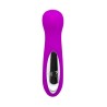 Pretty Love Mini Massager Hiram Purple