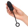 Relentless Vibrations Vibrating Egg Remote Control USB