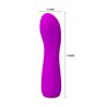 Vire Adam USB Silicone Purple