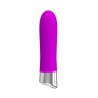 Vibe Sebastian Silicone Purple