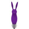 Hopye Rabbit Vibrating Bullet Silicone Purple