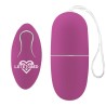 Ecopurple Vibrating Egg with Remote Control