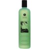 Shunga Bath Gel Mint Aroma