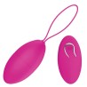 Eggy Vibrating Egg Wireless Remote Control Silicone